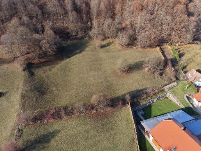 Telek a Máréfalvi patakban – 8. bélyegkép