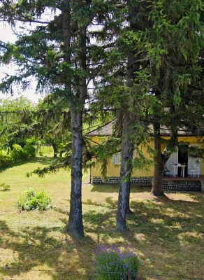 Örök panorámás Balatoni ingatlan  – 3. bélyegkép