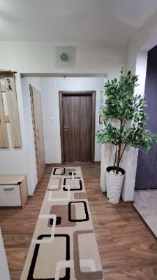Eladó 3 szobas lakás - Székelyudvarhelyen – 7. bélyegkép
